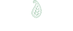 Boutique de thé en ligne